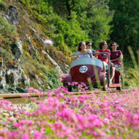 Famille dans un vélorail parmis les fleurs sauvages